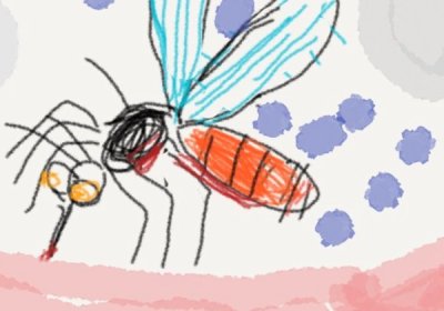 Drawing of mosquito