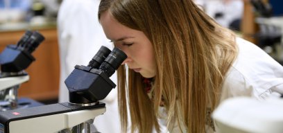 Looking at the microscope
